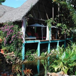 Maison dans une forêt tropicale sur l'île de Margarita