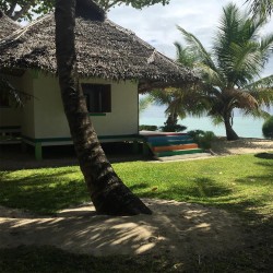 Maison dans une forêt tropicale sur l'île de Margarita