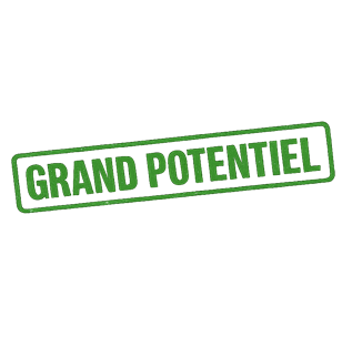 GRAND